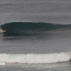 bali31
