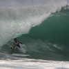 bali31