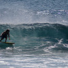 bali36