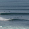 bali53