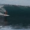 bali55