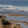 bali16