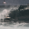 bali22