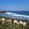 bali24