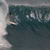 bali24