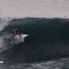 bali31