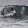 bali36
