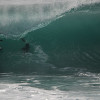 bali36