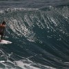 bali44