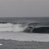 bali83