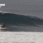 bali01