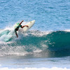 bali33