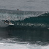 bali38