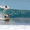 bali39