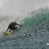 bali50