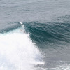rr41