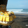 bali09