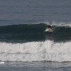 bali19