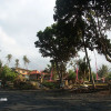 bali20