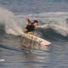 bali22