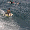 bali25