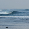 bali31