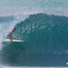 bali79