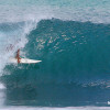 bali80