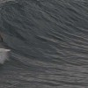 bali17