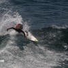 bali22