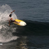 bali23