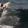 bali31