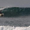 bali33