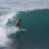 bali33