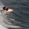 bali33