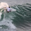 bali34