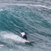 bali36