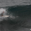 bali39