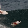bali49