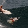 bali50