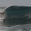bali53
