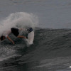 bali54