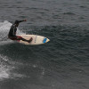 bali81_0