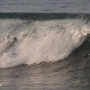 bb44