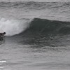 bali11