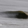 bali11