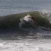 bali24