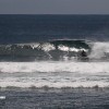 bali29