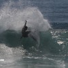 bali29