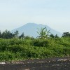 bali71
